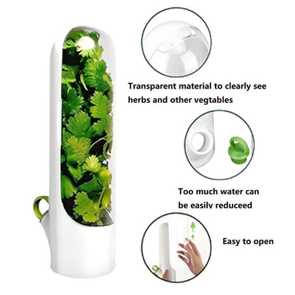 Vegetables Fresh Preservation Bottle For Refrigerator Herb Saver Storage Container Fresh