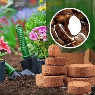 Organic Coconut Coir for Plants Pack of 2